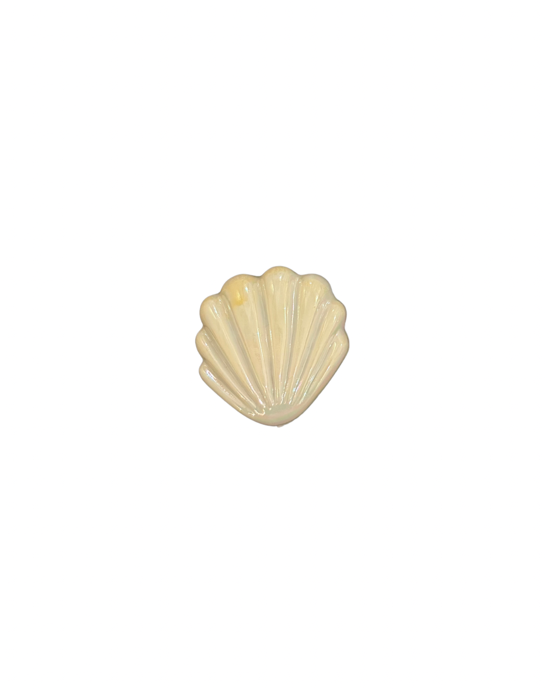 Big Seashell