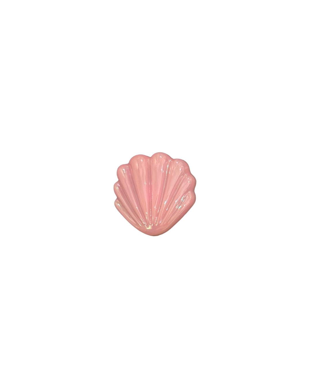Big Seashell