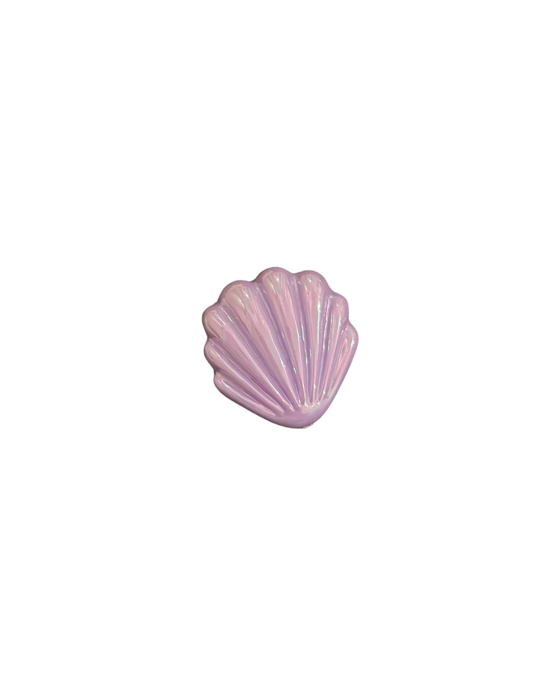 Big Seashell