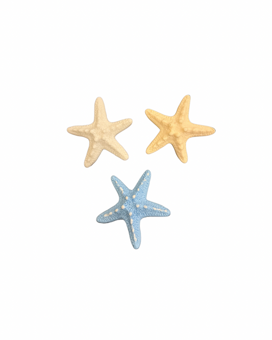 Big Starfish