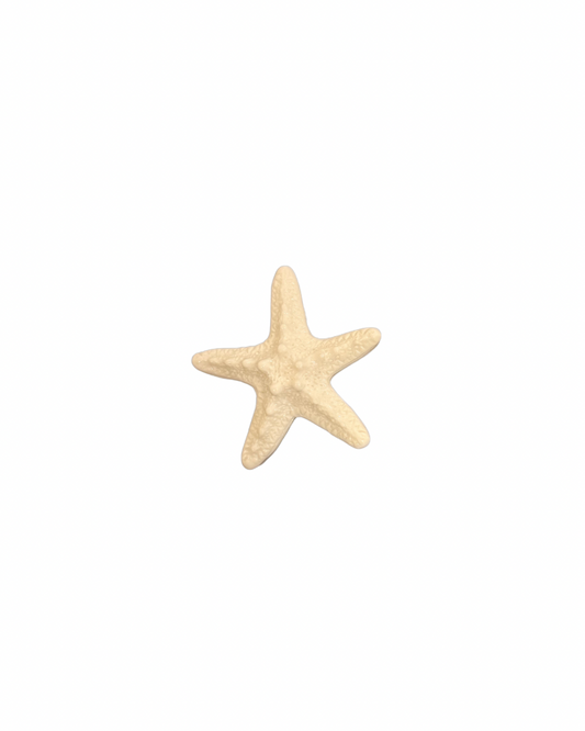 Big Starfish