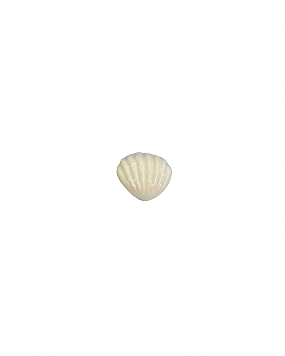 Shell Glow